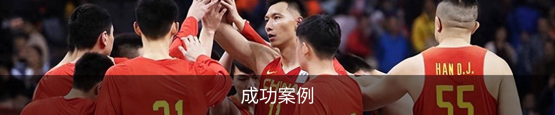 成功案例